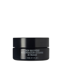 Skin Recovery Concentrate