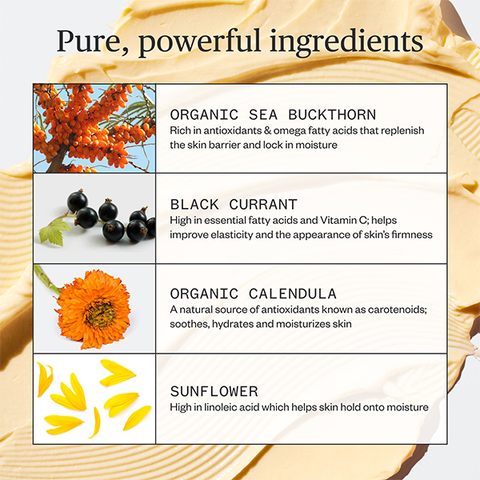 Sample - Golden Hour Recovery Cream