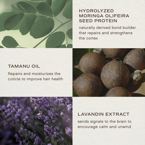 	Innersense Overnight Repair Serum key ingredients: hydrolyzed moringa protein, tamanu oil, lavandin extract