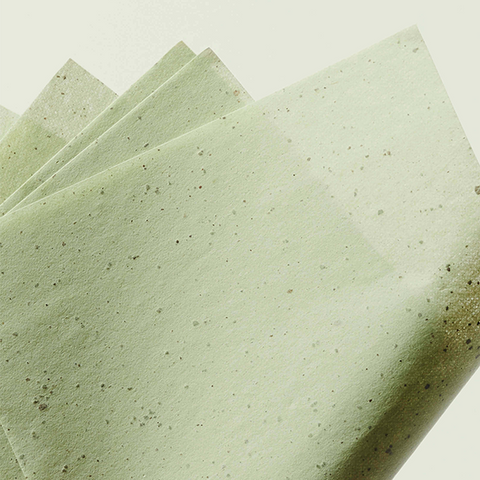 Green Tea Oil Control Paper