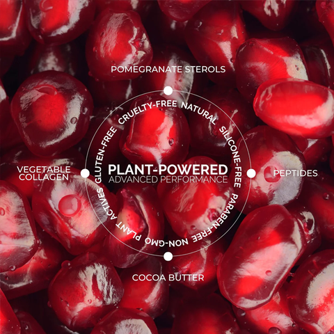 Lip Colour Cream Palette *Limited Edition*