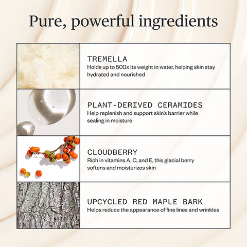 Sample - Alpine Rich Cream