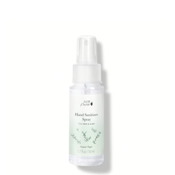 Hand Sanitizer Spray