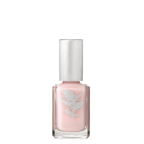 priti nyc pink jewel carnation