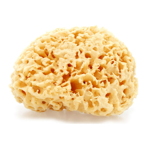 Natural Rock Island Sea Wool Body Sponge (Whole)